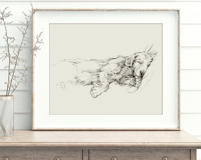 Golden Retriever Sketch Art Print: Elegant Dog Portrait by Ethan Harper