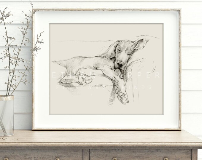 Weimaraner Art Print. Ethan Harper. Weimaraner Drawing. Gifts for Dog Lovers. Sleeping Dog. Dog Wall Decor. Dog Drawing