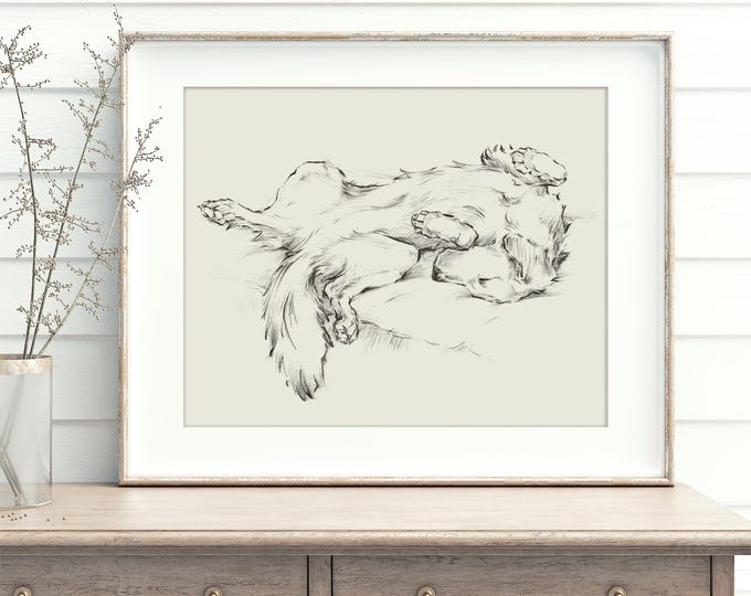 Golden Retriever Art Print by Ethan Harper