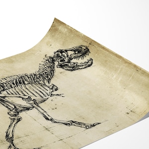 T-Rex Dinosaur Wall Art Prints - Dinosaur Skeleton Print For Wall Art Decor - Tyrannosaurus Rex Dinosaur Fossil Painting - Skeleton Drawing image 3