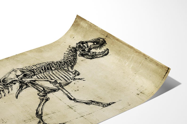 T-Rex Dinosaur Wall Art Prints - Dinosaur Skeleton Print For Wall Art Decor - Tyrannosaurus Rex Dinosaur Fossil Painting - Skeleton Drawing image 3