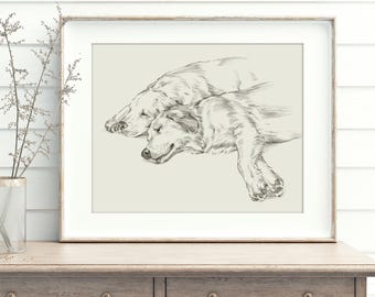 Golden Retriever Sketch Art Print | Vintage Dog Portrait