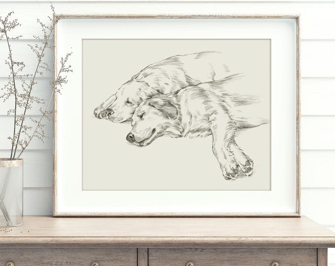Golden Retriever Art Print: Antique Style Dog Sketch by Ethan Harper