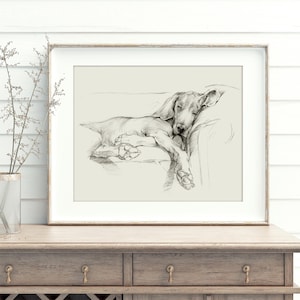 Weimaraner Art Print: Sleeping Dog Pencil Sketch by Ethan Harper