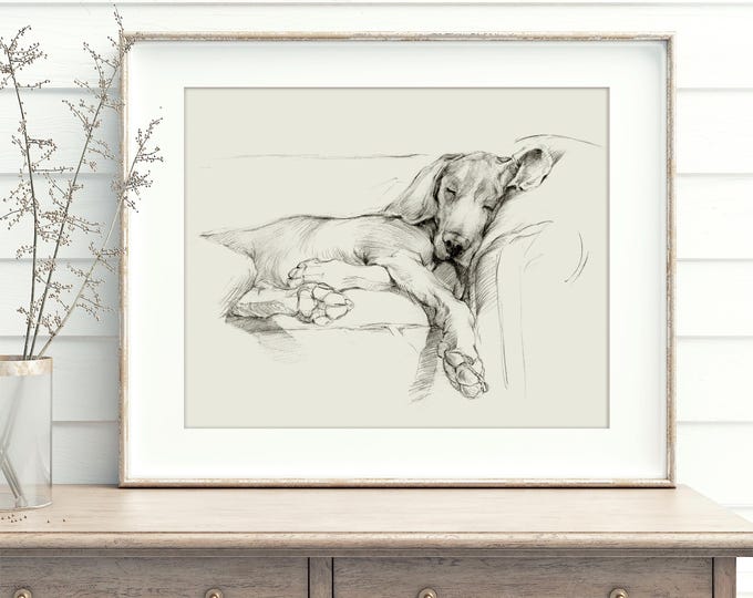 Weimaraner Art Print. Ethan Harper. Weimaraner Drawing. Gifts for Dog Lovers. Sleeping Dog. Dog Wall Decor. Dog Drawing