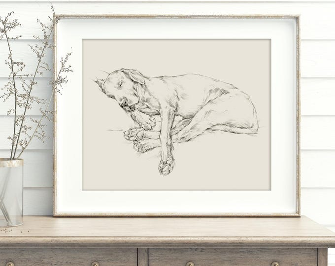 Black Labrador Retriever Sketch Art Print - Ethan Harper's Dog Drawing for Wall Decor