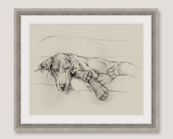 Black Lab Art Yellow Lab Labrador Retriever Art Print Dog Drawing Dog Pencil Sketch Sleeping Dog Gifts For Dog Lovers Dog Wall Decor