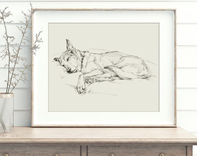 Husky Dog Art Print: Fine Art Print Reproduction Of An Original Sketch by Ethan Harper
