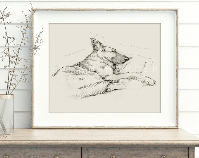 German Shepherd Drawing Fine Art Print Wall Decor