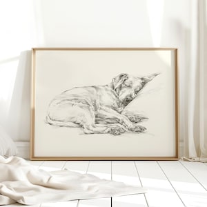 Labrador Retriever Art Print by Artist, Ethan Harper. Chocolate Lab Drawing Wall Decor. image 1