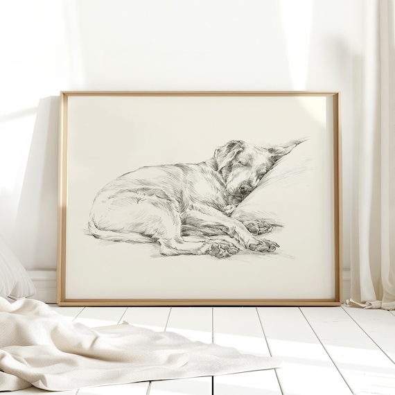 Labrador Retriever Art Print by Artist, Ethan Harper. Chocolate Lab Drawing Wall Decor.