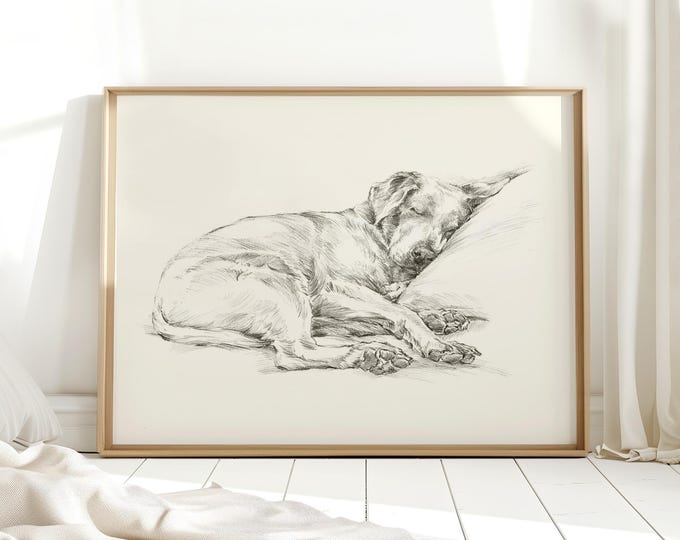 Labrador Retriever Art Print by Artist, Ethan Harper. Chocolate Lab Drawing Wall Decor.