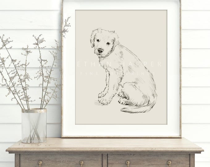 Golden Retriever Puppy Drawing Fine Art Print by Ethan Harper. Artwork for Dog Lovers.
