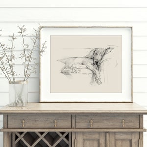 Weimaraner Art Print. Ethan Harper. Weimaraner Drawing. Gifts for Dog Lovers. Sleeping Dog. Dog Wall Decor. Dog Drawing image 3