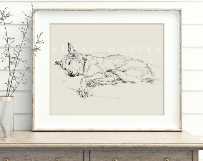 Husky Fine Art Print. Husky Drawing. Dog Artwork. Dog Wall Decor. Gifts for Dog Lovers