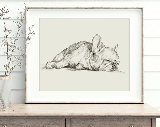French Bulldog Sketch Art Print by Ethan Harper