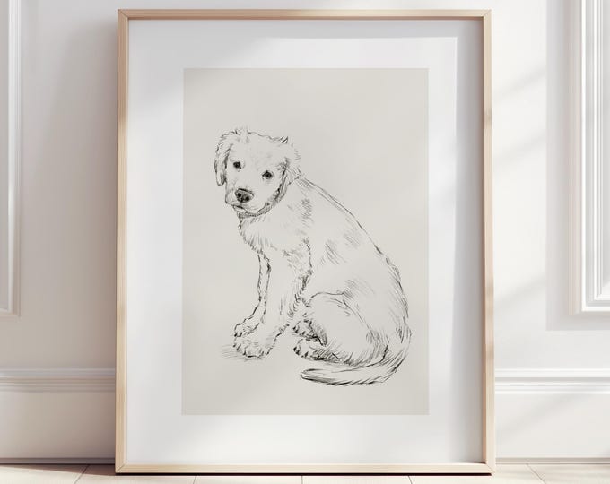 Golden Retriever Puppy Drawing Fine Art Print by Ethan Harper - Dog Lover Gift, Nursery Wall Art, Pet Portrait Illustration