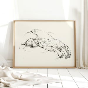 May include: A black and white line art drawing of a dog sleeping curled up on a soft cushion. The illustration features detailed sketch strokes capturing the texture of the fur and the relaxed posture of the animal within a light wooden frame.