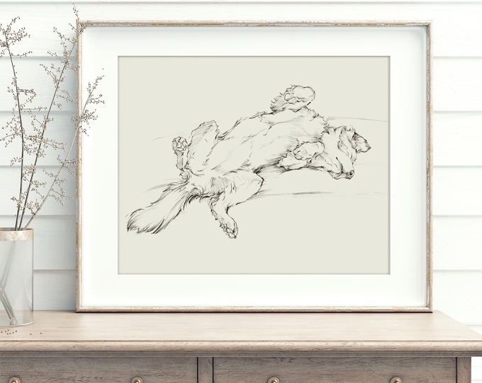 Border Collie Art. Border Collie Drawing. Dog Art Decor. Dog Drawing. Herding Dog. Pet Portrait. Farm Dog