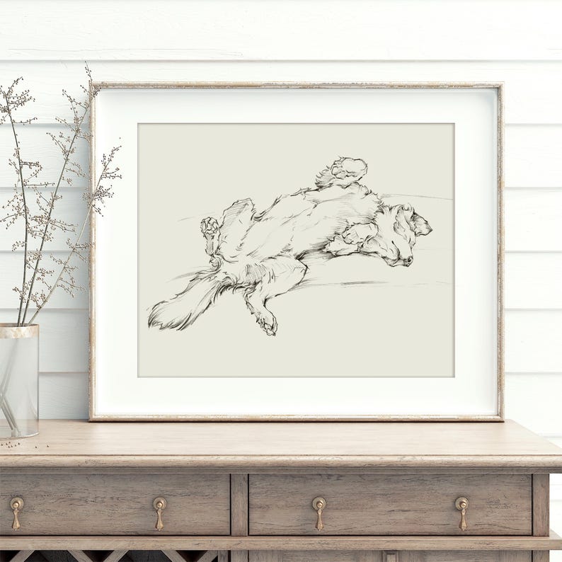 Border Collie Wall Art Print Dog Painting - Border Collie Drawing Art Sketch For Home-Decor - Sleeping Dog Art Painting For Wall Decor image 1