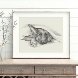 Lámina decorativa de pastor alemán asomándose - Lindo retrato de mascota - Póster dibujado a mano - Decoración de pared de perro pastor alemán de Ethan Harper - Arte para el baño de perros imagen 3