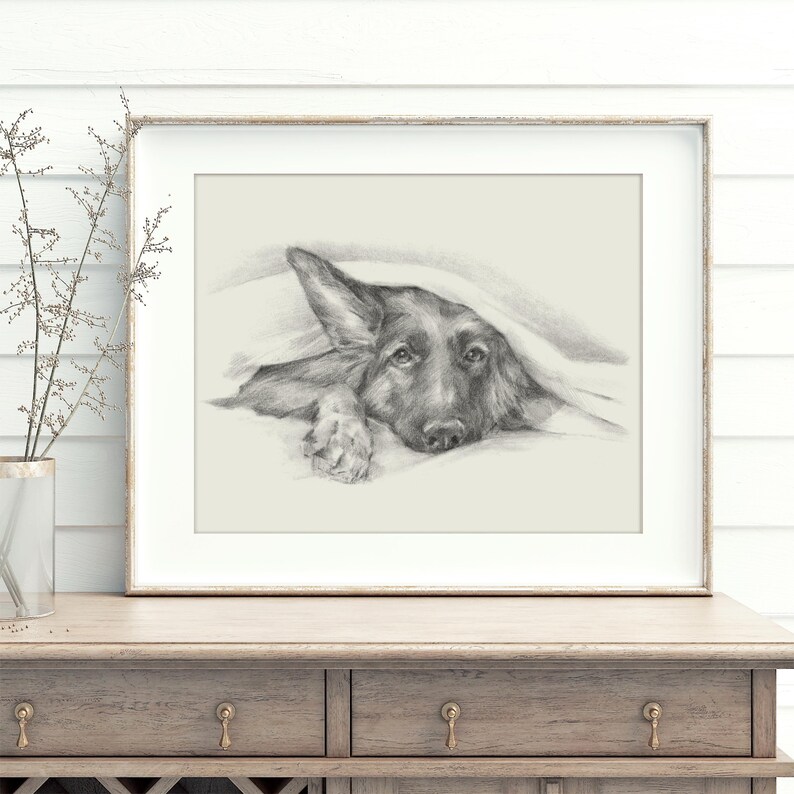 Lámina decorativa de pastor alemán asomándose - Lindo retrato de mascota - Póster dibujado a mano - Decoración de pared de perro pastor alemán de Ethan Harper - Arte para el baño de perros imagen 3