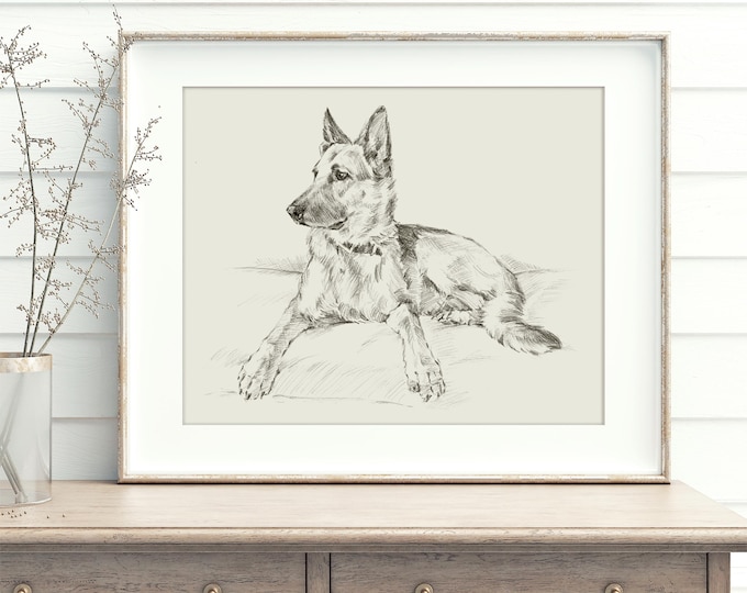 German Shepherd Art Print: Fine Art Print Reproduced from a Pencil Sketch by Ethan Harper