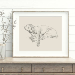 Labrador Retriever Art Print by Artist, Ethan Harper. Black Lab Drawing Wall Decor.