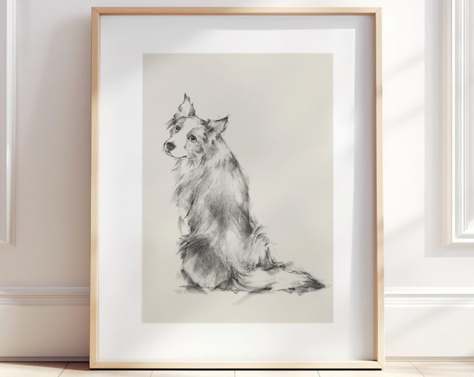 Border Collie Art. Border Collie Charcoal Drawing. Dog Art Decor. Dog Drawing. Herding Dog, Nursery decor, Farm Dog
