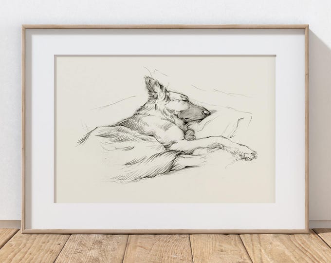 German Shepherd Memorial Wall Decor - Sleeping Shepherd Pencil Sketch Print Dog Memorial Gift - Dog Loss Remembrance Gift-Sympathy Art Print