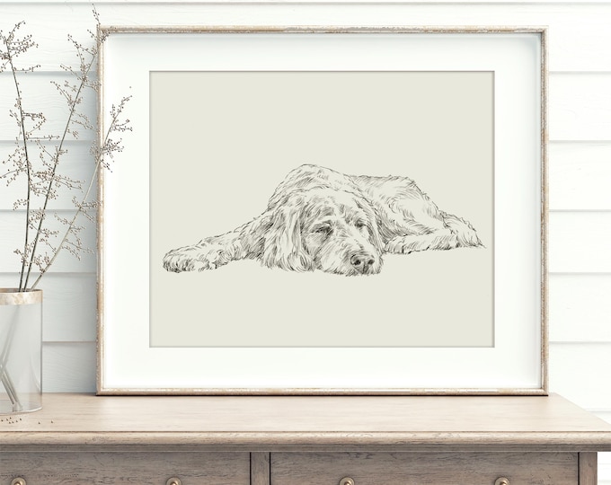 Goldendoodle Fine Art Print, Reproduced from Original Pencil Drawing by Ethan Harper, Dog Wall Decor, Nursery Decor, Pet Lover Gift