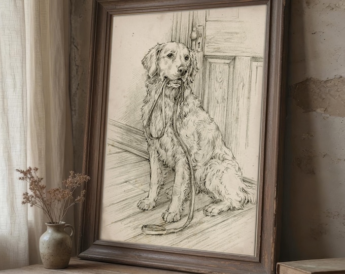 Golden Retriever Leash Wall Art Prints by Ethan Harper - Vintage Dog Drawing Pet Wall Decor For Nursery or Bedroom -Pet Portrait For Dog Mom