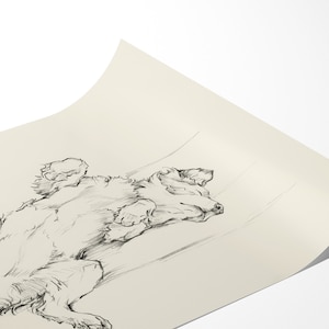 May include: A black and white pencil drawing of a dog sleeping on its back with its paws in the air.