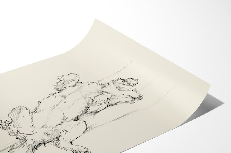 May include: A black and white pencil drawing of a dog sleeping on its back with its paws in the air.