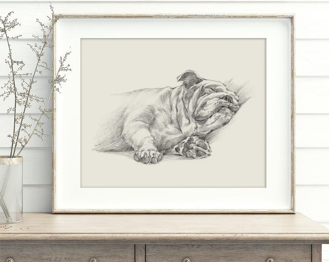 English Bulldog Fine Art Print - Detailed Vintage Style Bulldog Sketch by Artist Ethan Harper, Nursery & Home Decor, Dog Lover Art Gift