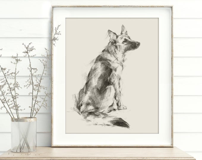 German Shepherd Dog Charcoal Sketch, Fine Art Giclee Print by Artist, Ethan Harper