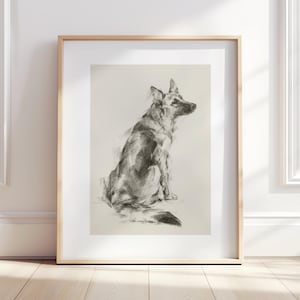 Lámina artística de un pastor alemán, boceto a carboncillo, decoración minimalista para la pared