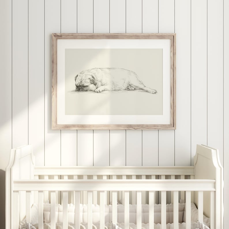 Pug Drawing Art Print: Antique Style Dog Sketch by Ethan Harper image 2