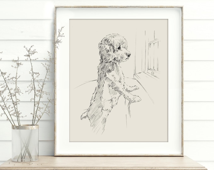 Bichon Frise Fine Art Print by Ethan Harper. Beautiful Dog Art Wall Decor