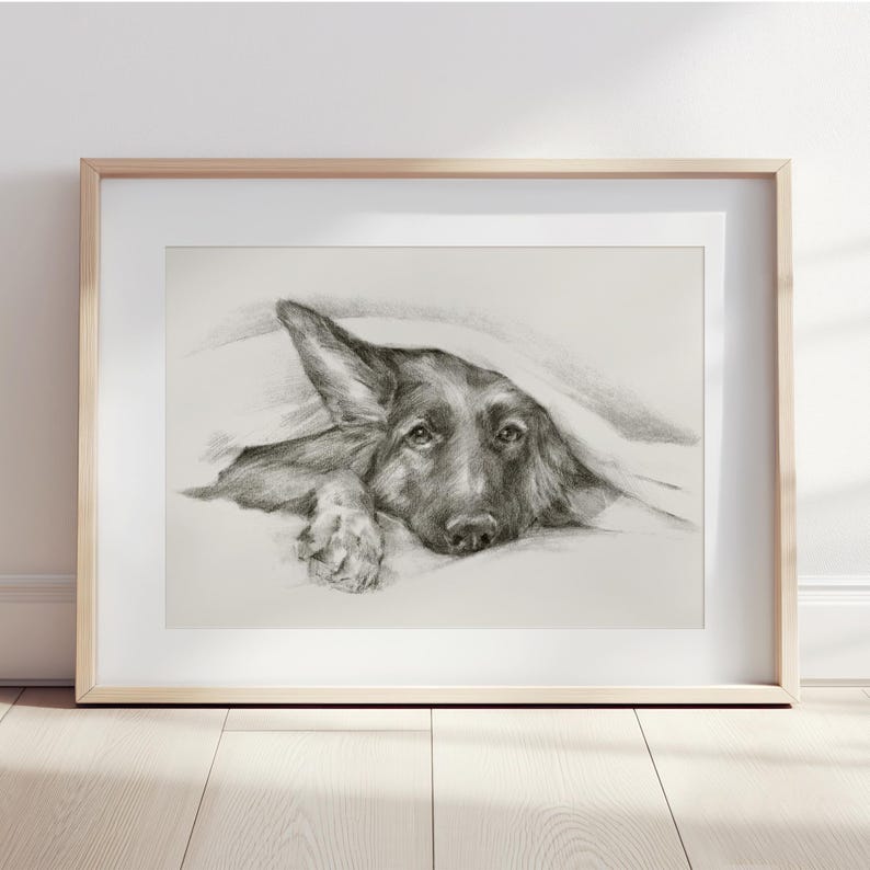 Lámina decorativa de pastor alemán asomándose - Lindo retrato de mascota - Póster dibujado a mano - Decoración de pared de perro pastor alemán de Ethan Harper - Arte para el baño de perros imagen 1
