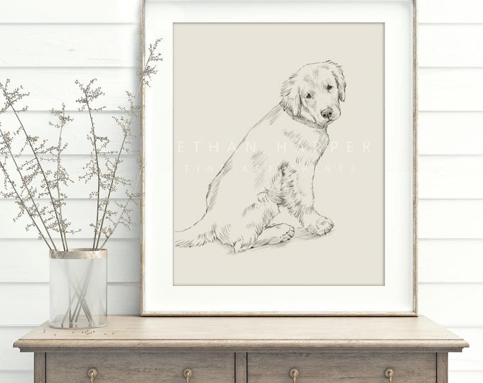 Golden Retriever Puppy Drawing Fine Art Print by Ethan Harper. Artwork for Dog Lovers.