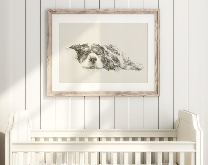 Cavalier King Charles Spaniel Art Print by Artist, Ethan Harper. Dog Drawing Wall Decor.