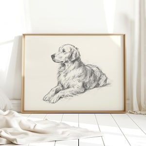 May include: A framed charcoal sketch on off-white paper depicting a golden retriever dog lying down in a resting position. The drawing features detailed pencil strokes capturing the texture of the fur and the dog's facial features in profile.