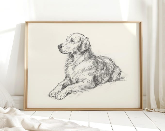 Golden Retriever Drawing by Ethan Harper - Dog Portrait For Kids Room or Bedroom Decor - Golden Retriever Sketch Wall Art Prints-Pet Artwork