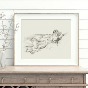 Lámina artística de perro bóxer del artista Ethan Harper. Dibujo de bóxer para decoración de pared.
