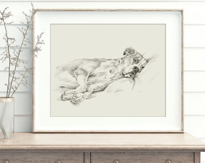 Boxer Dog Art Print by Artist, Ethan Harper. Boxer Drawing Wall Decor.