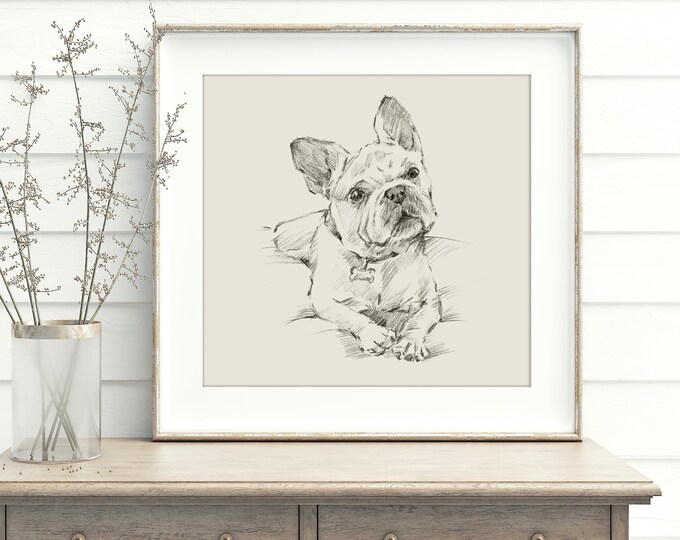 French Bulldog Art Print. Contour Drawing. Artist Ethan Harper. Cute Gifts for Dog Lovers. Dog Wall Decor.