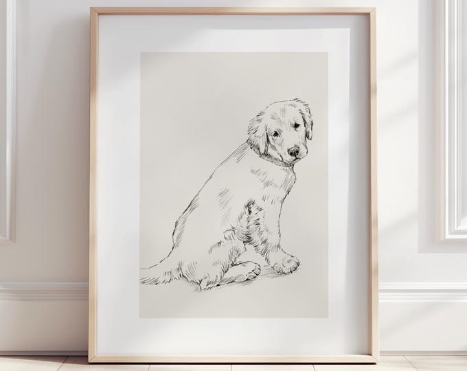 Golden Retriever Puppy Drawing Fine Art Print by Ethan Harper. Artwork for Dog Lovers.