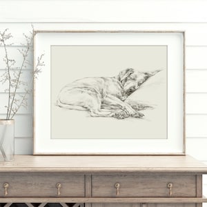 Labrador Retriever Art Print by Artist, Ethan Harper. Chocolate Lab Drawing Wall Decor. image 2