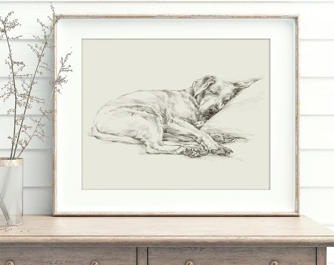 Labrador Retriever Art Print by Artist, Ethan Harper. Chocolate Lab Drawing Wall Decor.